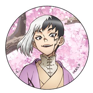 Dr. STONE brooch 4