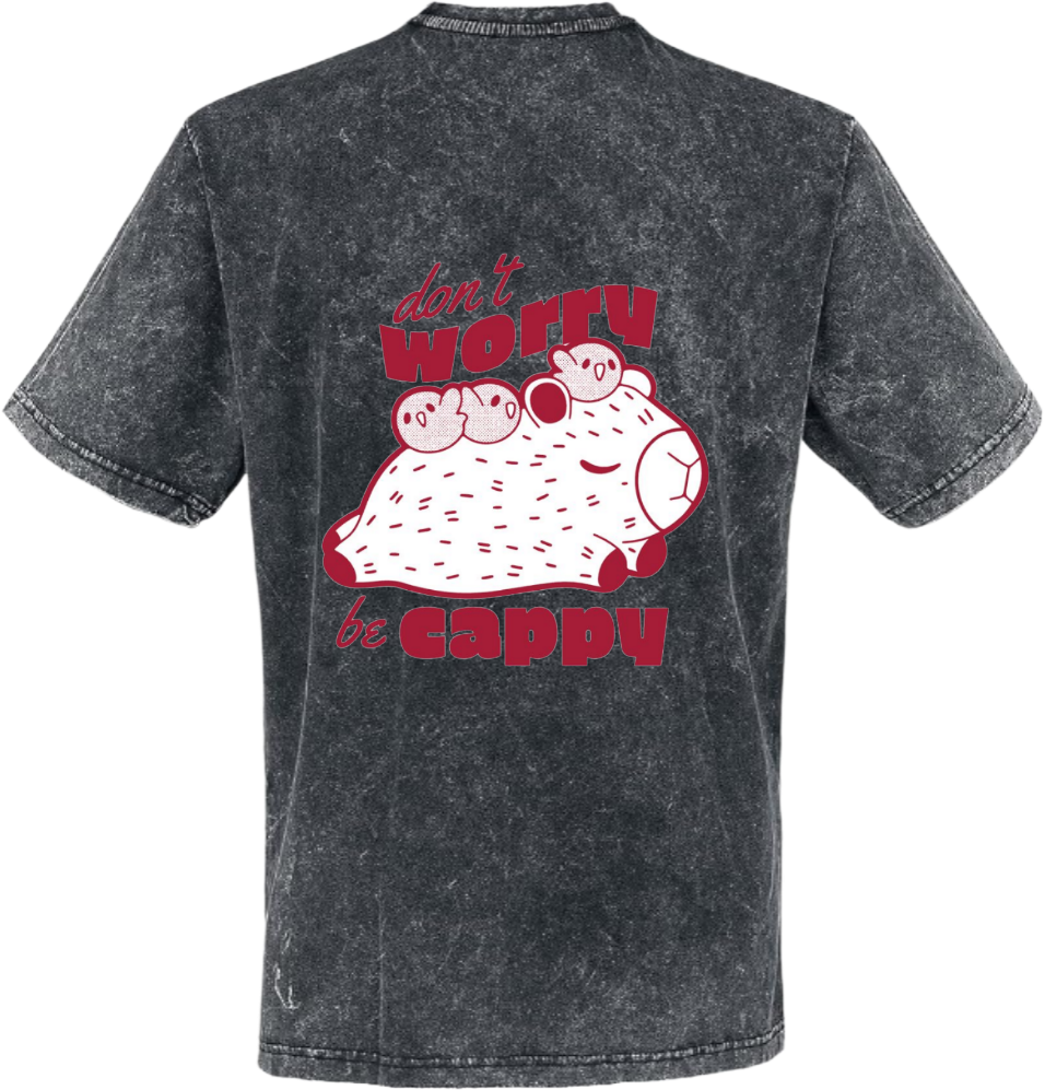 Be Capy t- shirt One Size Washed Back 117