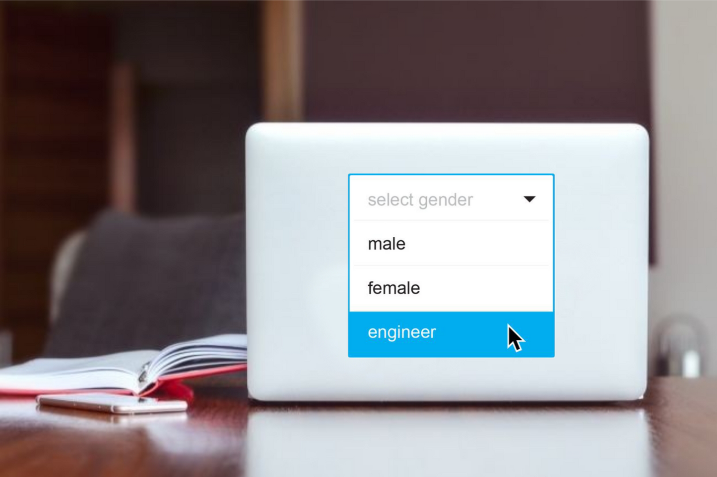 names Laptop Sticker male female engineer 12