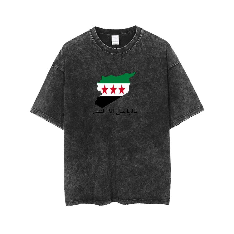 Syria t- shirt One Size Washed 12