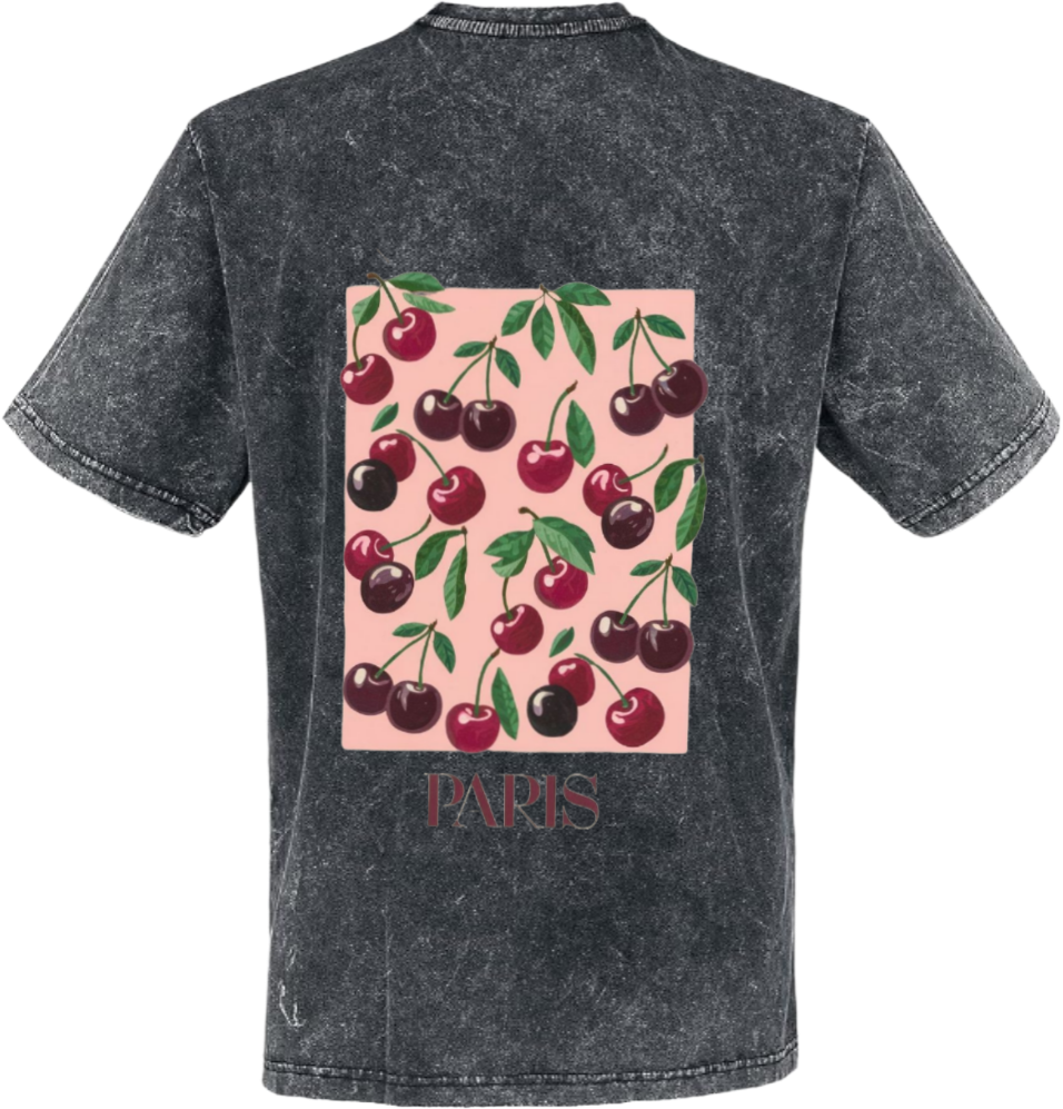 PARIS t- shirt One Size Washed Back 133
