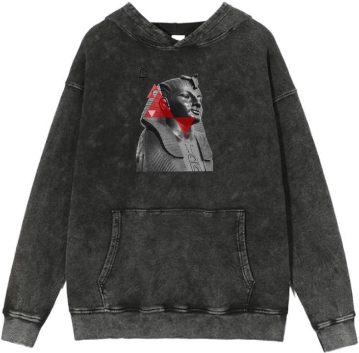 Egypt Over Size hoodie Washed 13