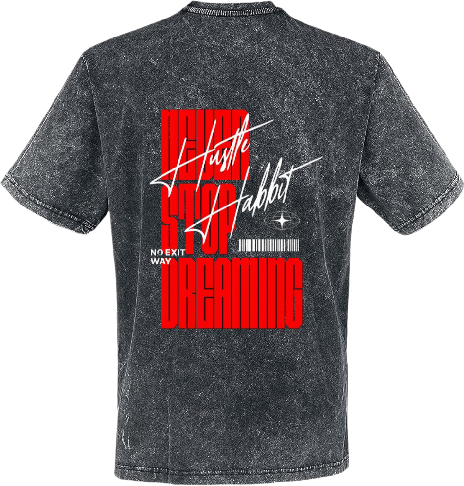 No Exit Way Dreaming t- shirt Over Size Washed Back 14