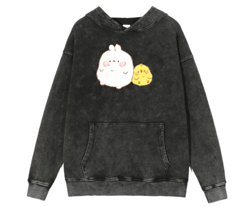 duck Oversize Hoodie Washed 18