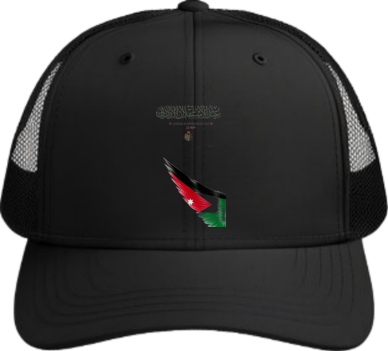 Jordan Baseball cap Black 18