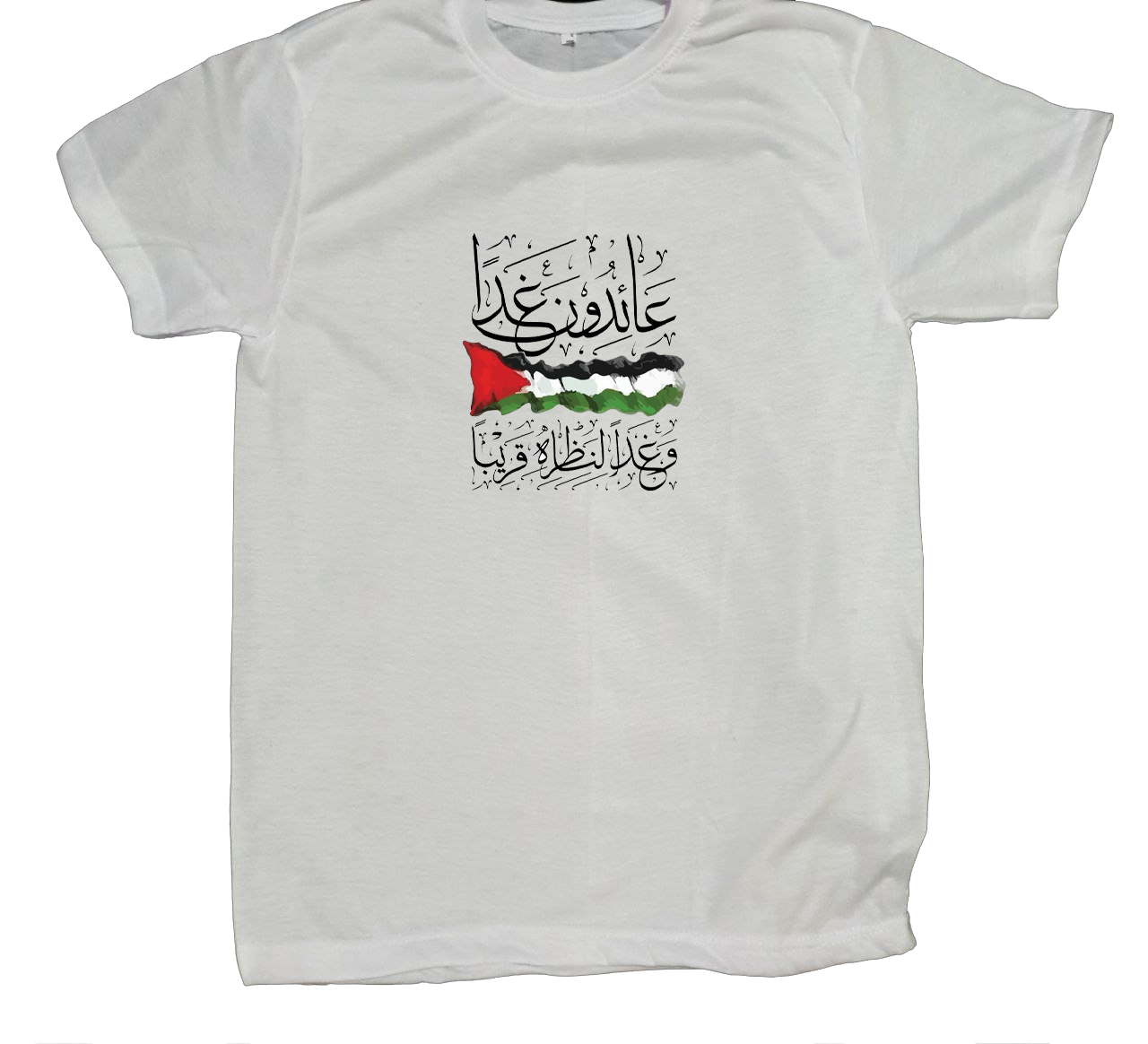 Palestine t- shirt fat White 23