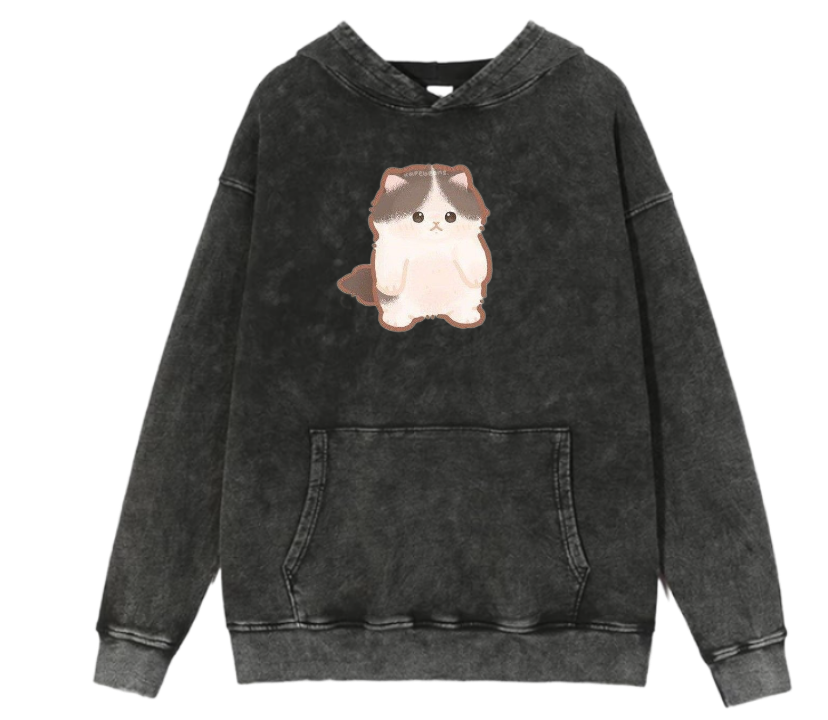 cat Oversize Hoodie Washed 20