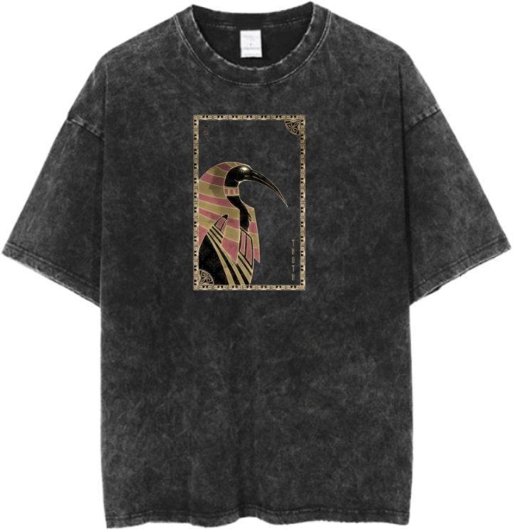 Egypt t- shirt Over Size Washed 27