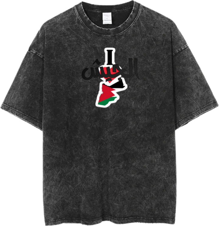 Jordan One Size t- shirt Washed 27
