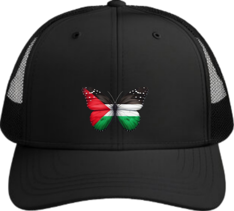 Jordan Baseball cap Black 28