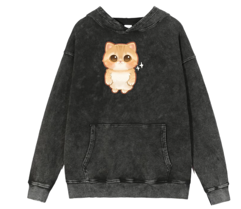 cat Oversize Hoodie Washed 35