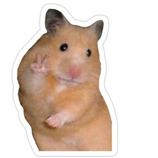Funny Peace Sign Hamster Meme Aesthetic Sticker, Cute Cute Rodent Decal for Laptop, Water Bottles, Journaling, Scrapbooking, and Planners