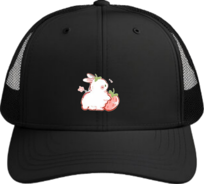 bunny Baseball cap Black 47