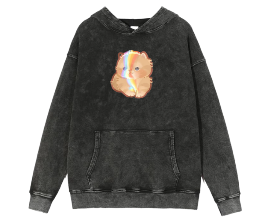 cat Oversize Hoodie Washed 47