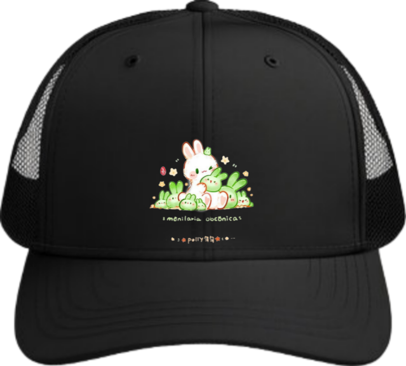 bunny Baseball cap Black 55