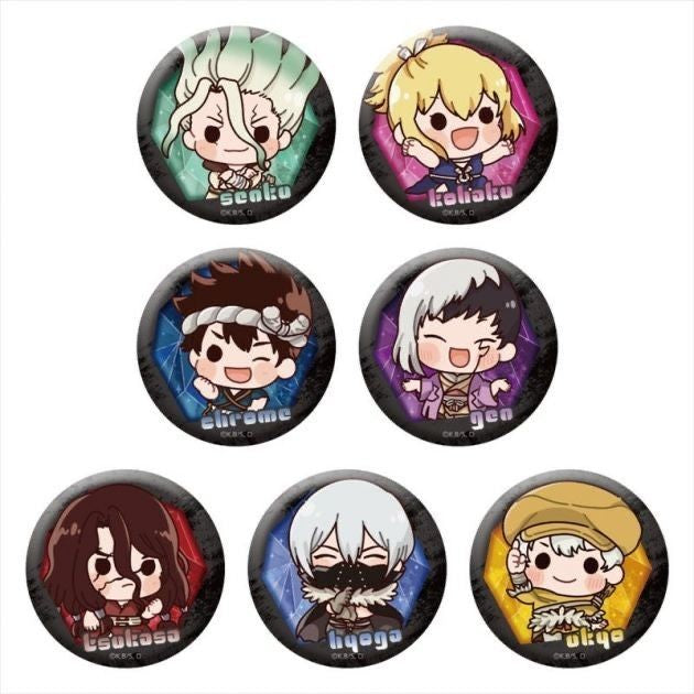Dr. STONE brooch 1