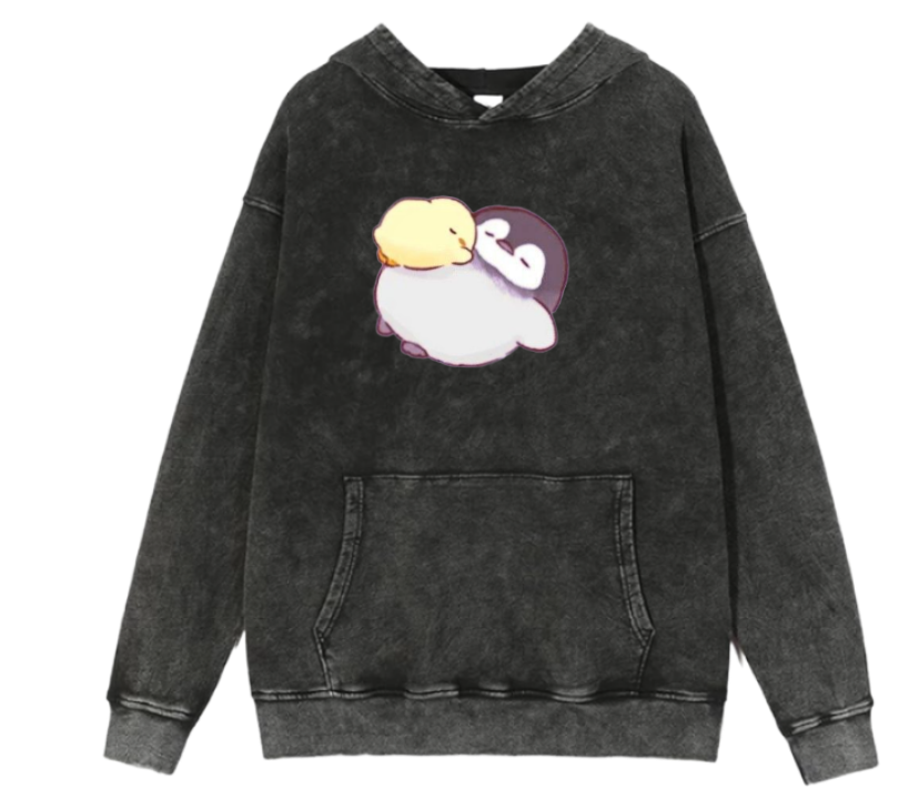duck Oversize Hoodie Washed 5