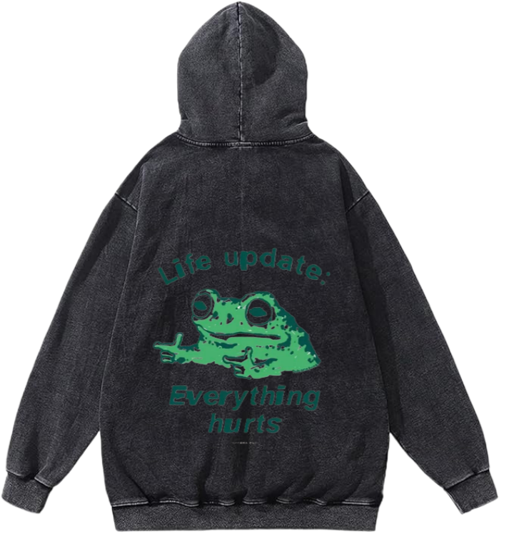 frog Oversize Hoodie Washed gray Back 5