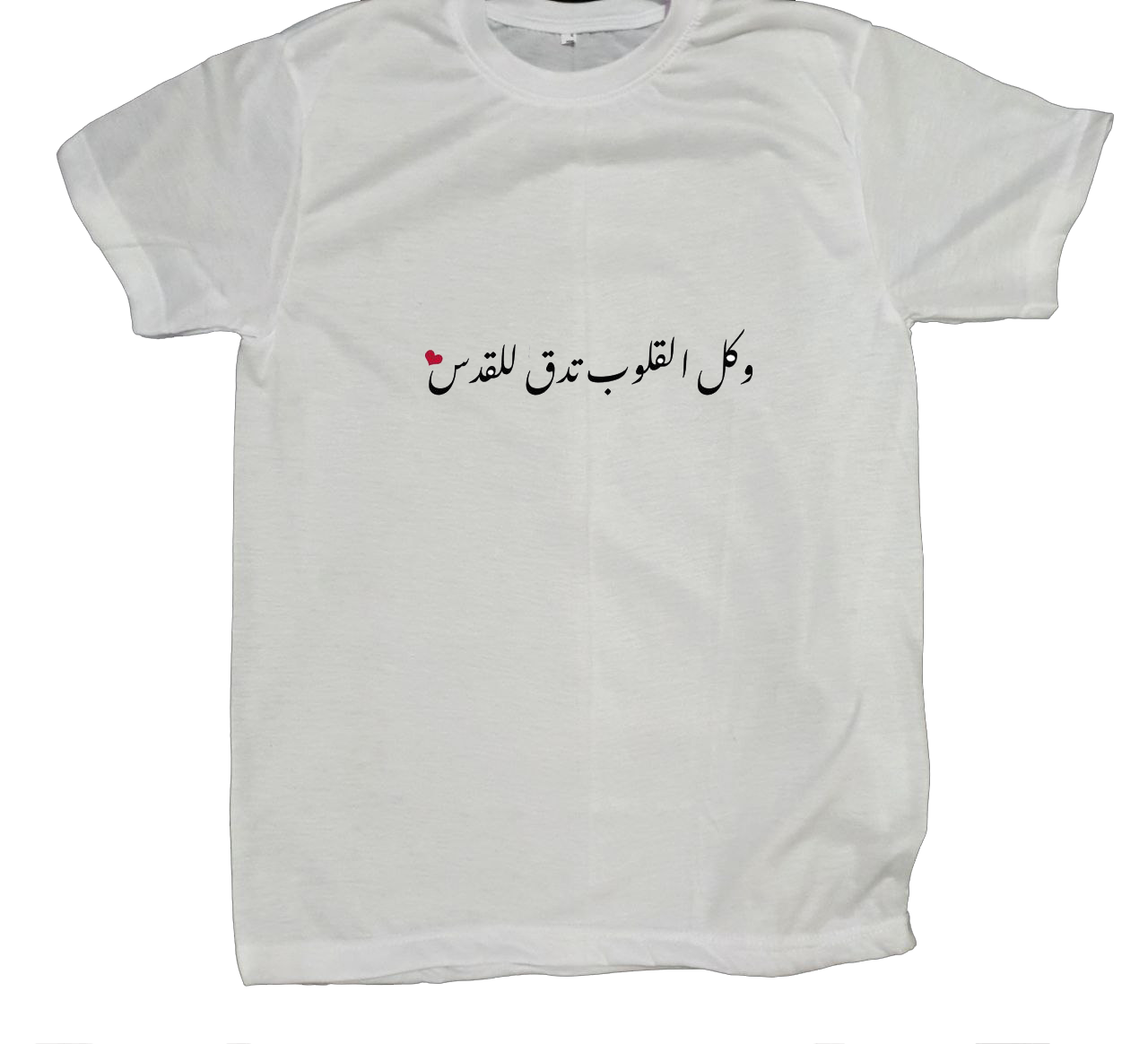 Palestine t- shirt fat White 14