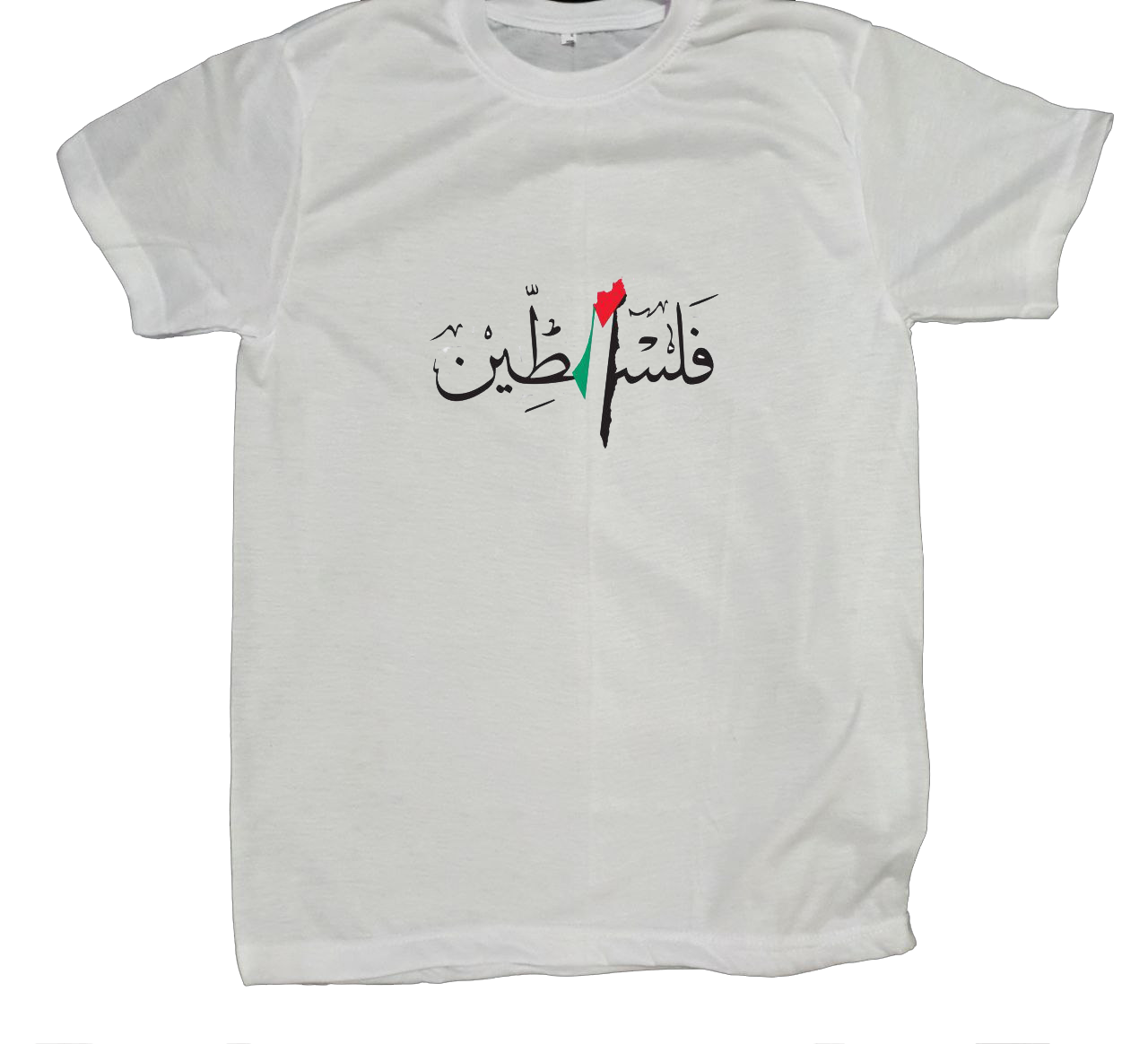 Palestine t- shirt fat White 7