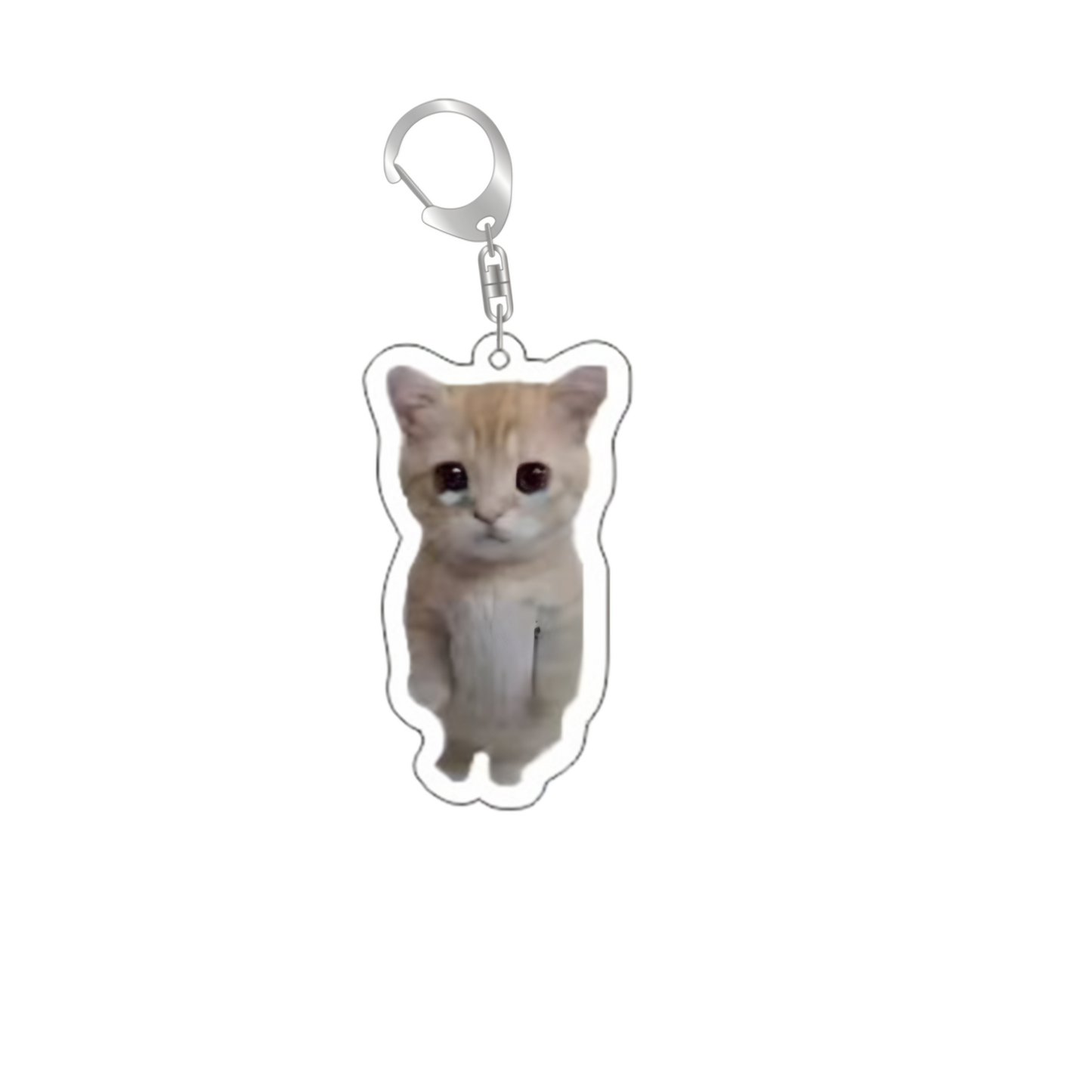 cat medal 1