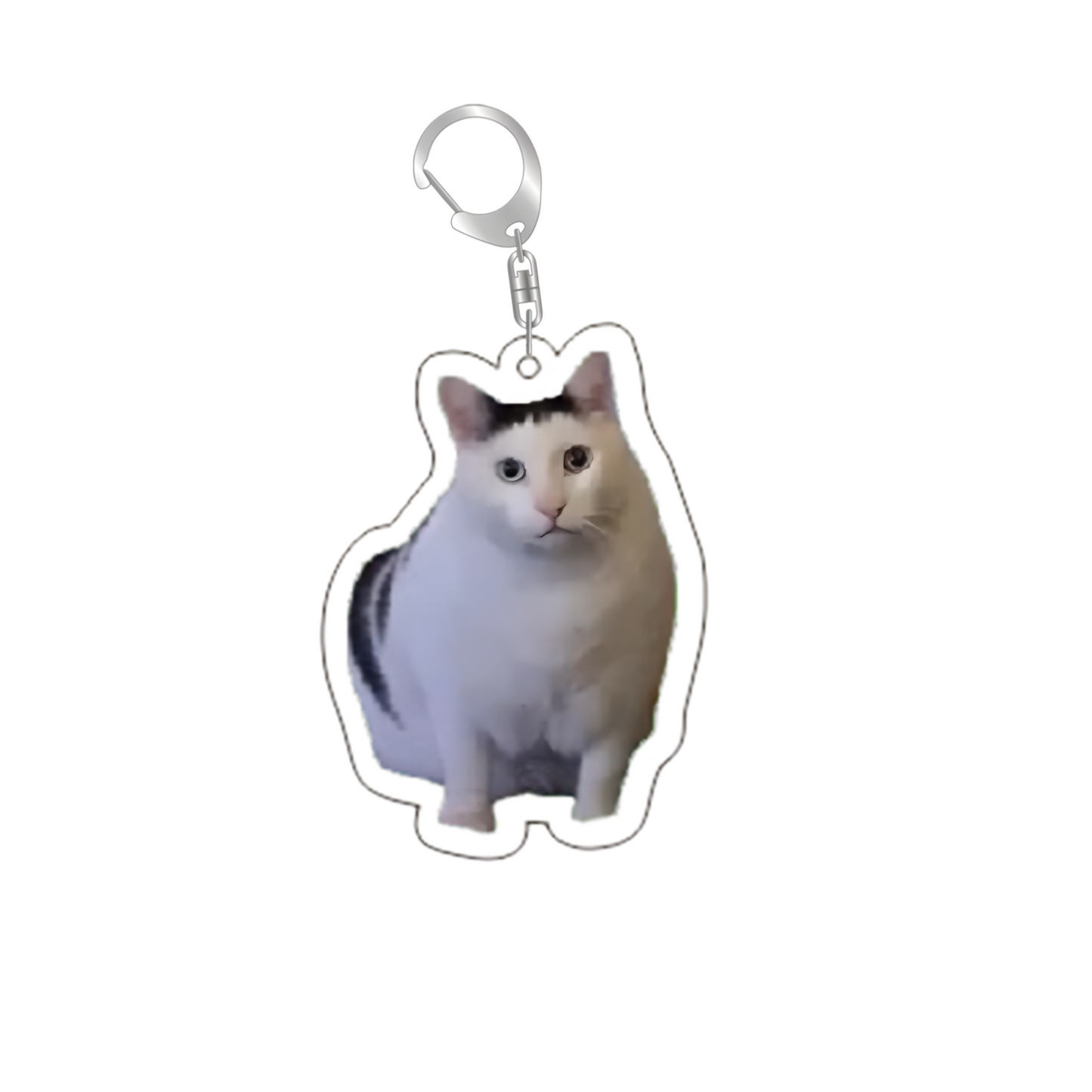 cat medal 5