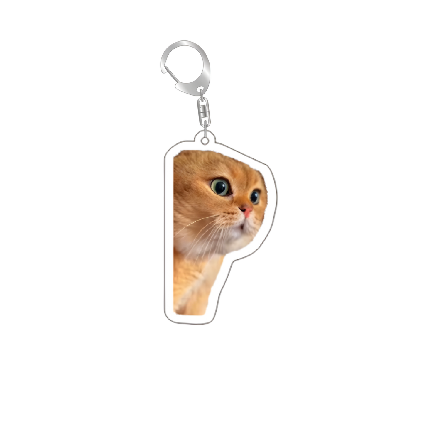 cat medal 6