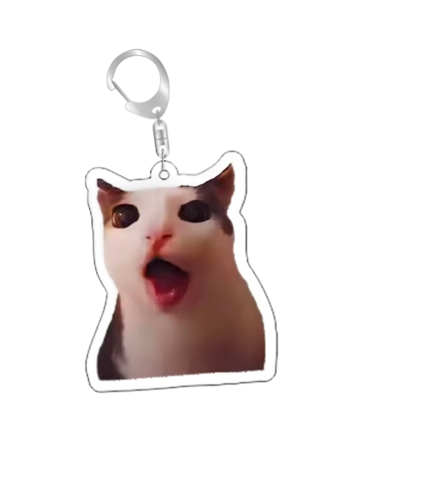 cat medal 8