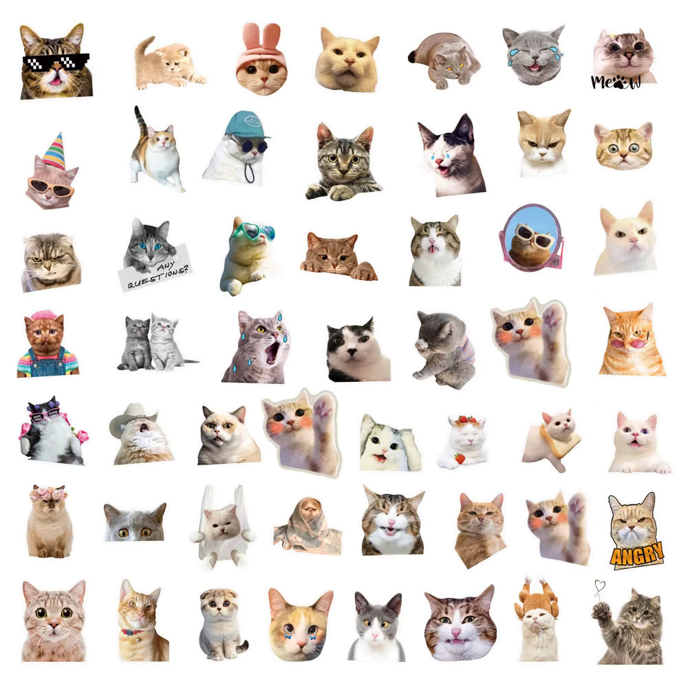 10/30/50pcs Cute Cartoon Realistic Cat Transparent Stickers Funny MEME Graffiti Decals Waterproof DIY Scrapbook Guitar Notebook