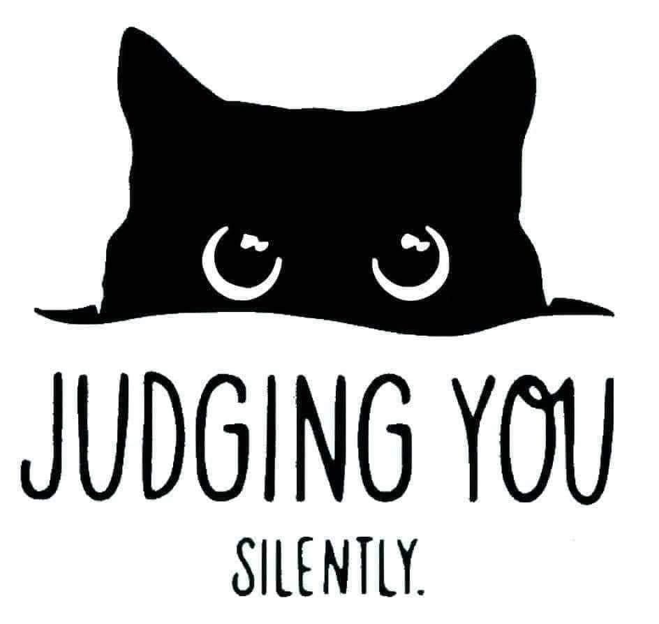 "Judging You Silently" Funny Black Cat Vinyl Sticker - Sarcastic Peeking Kitten Decal for Kindle, Laptop, Car, Water Bottle & Tumbler - Humorous Gift for Cat Lovers & Friends