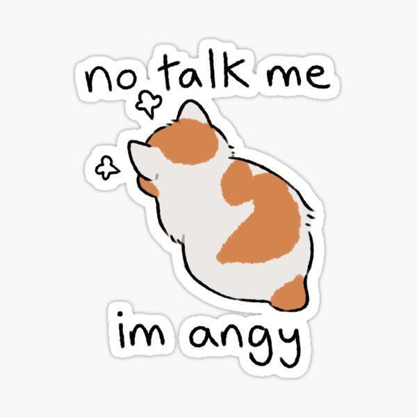 No Talk Me Im Angy" Cute Cat Meme Sticker - Funny Grumpy Kitten Vinyl Decal for Laptop, Water Bottle, Journal, and Phone Case