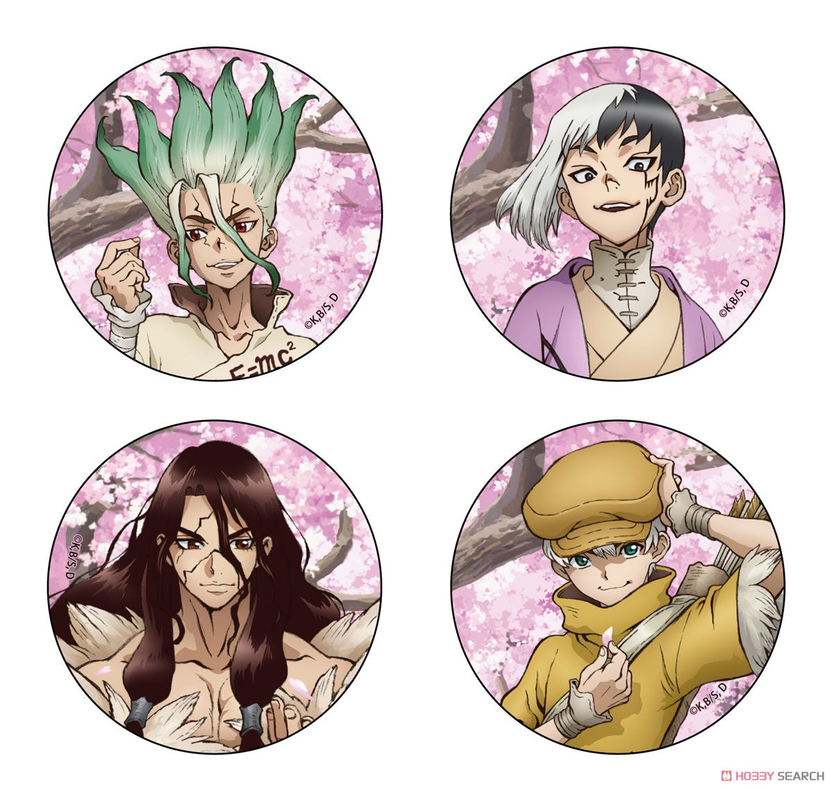 Dr. STONE brooch 5