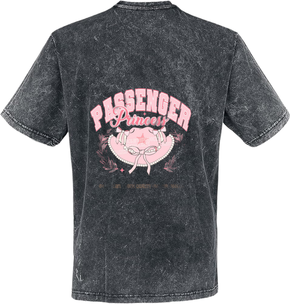 Passenger Princess t- shirt Over Size Washed Back 70