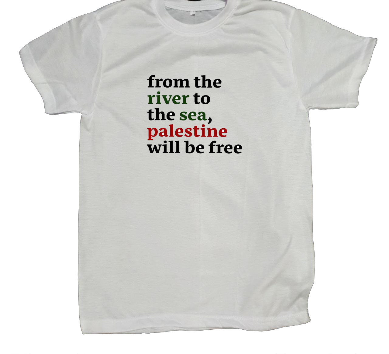 Palestine t- shirt fat White 18