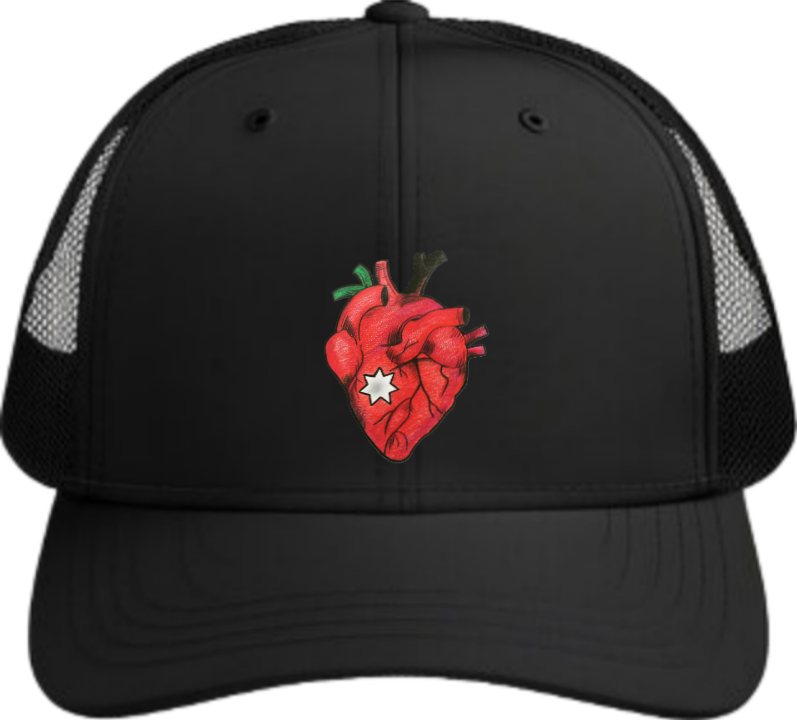 Jordan Baseball cap Black 12