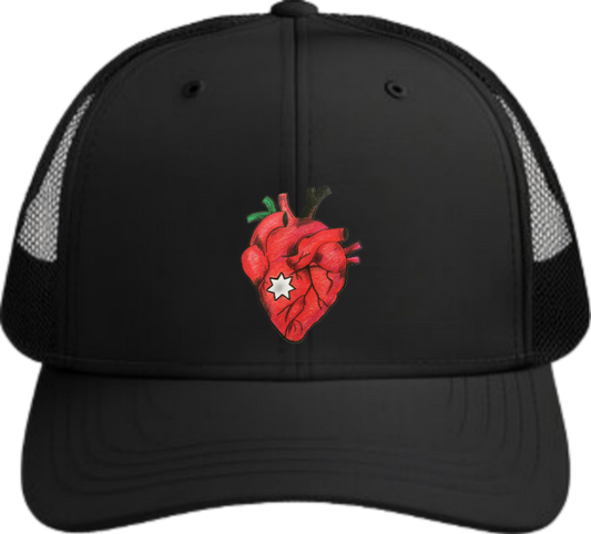 Jordan Baseball cap Black 12