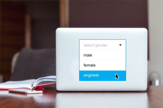 names Laptop Sticker male female engineer 12