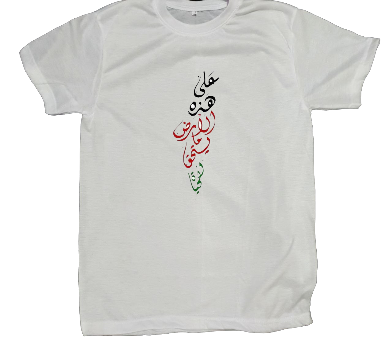 Palestine t- shirt fat White 19