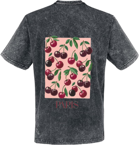PARIS t- shirt One Size Washed Back 133