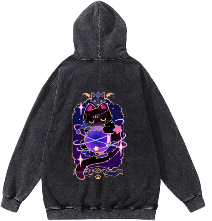 small black cat with a crystal ball One Size hoodie Washed Back 13