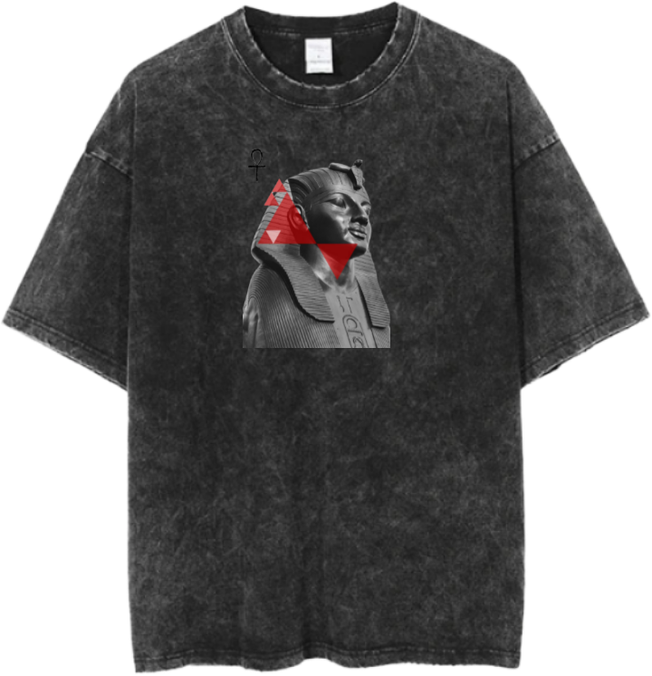 Egypt t- shirt Over Size Washed 13