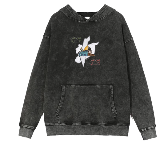 Syria One Size hoodie Washed 14