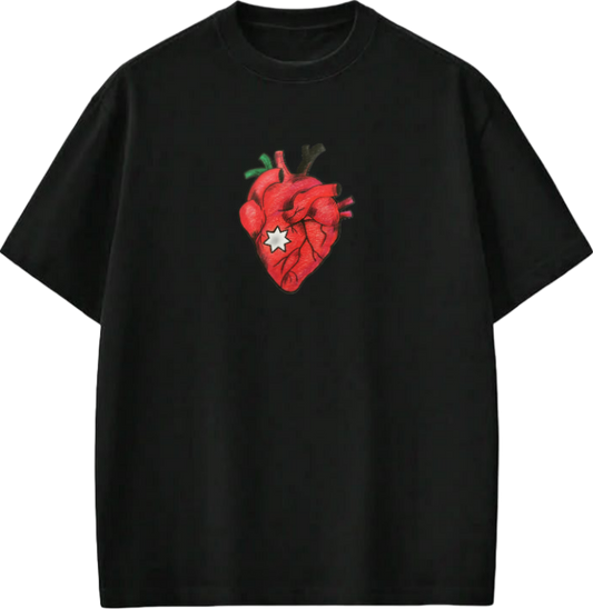 Jordan t- shirt Oversize Black 14