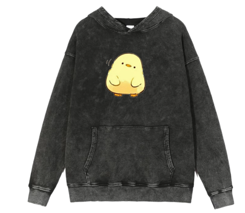 duck Oversize Hoodie Washed 17