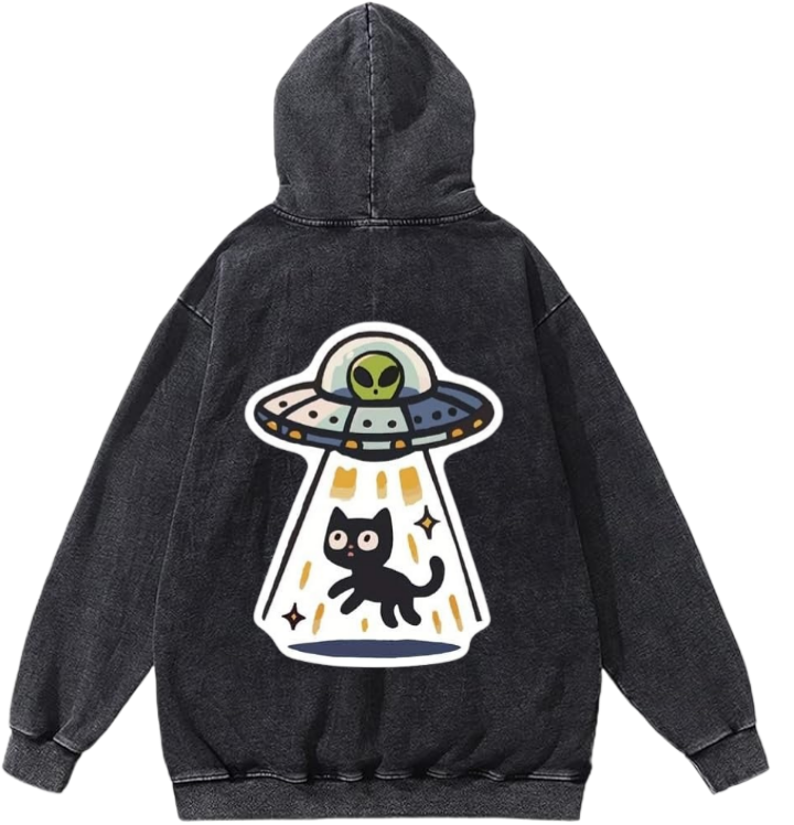 aliens Oversize Hoodie Washed gray Back 19