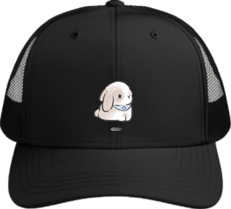 bunny Baseball cap 1