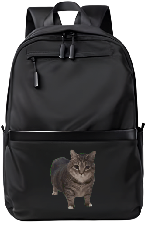 cat School Back bag bag 1