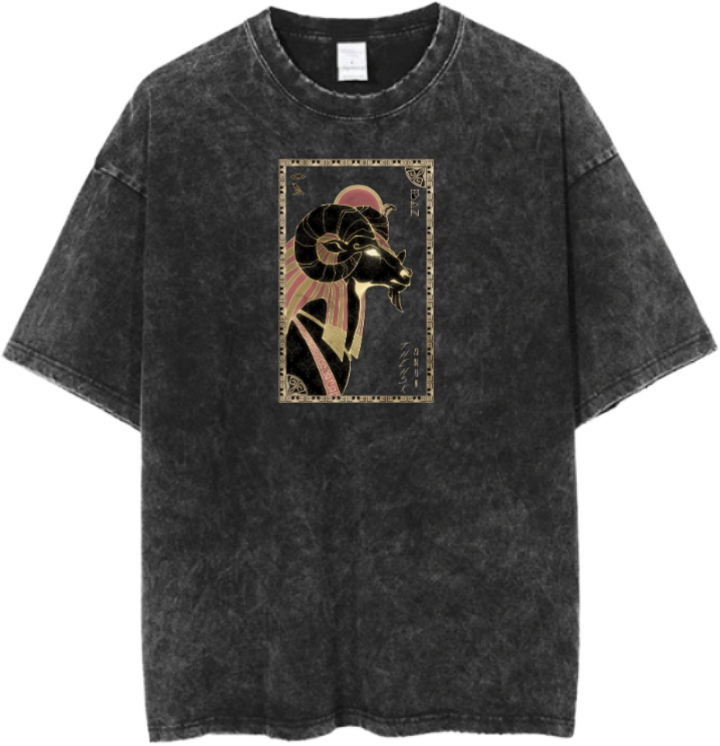 Egypt t- shirt Over Size Washed 20