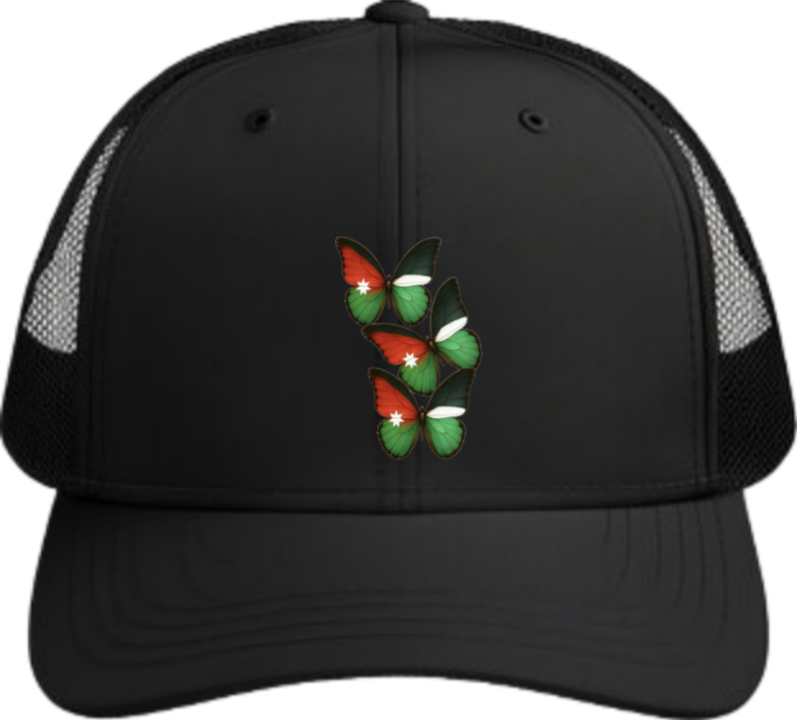 Jordan Baseball cap Black 23
