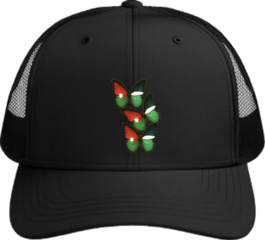Jordan Baseball cap Black 23